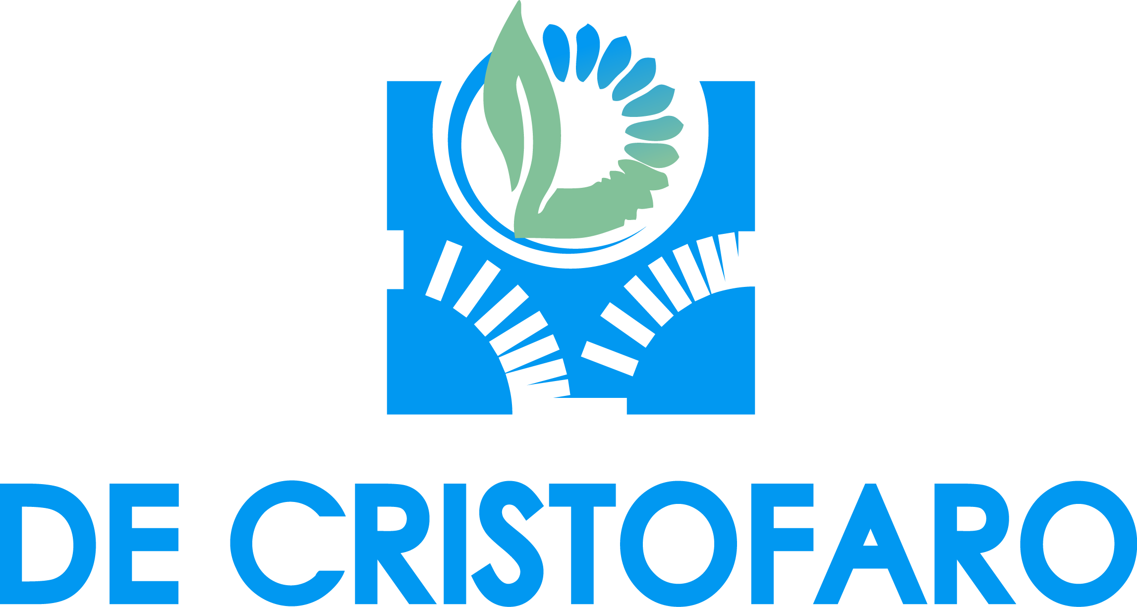 DE CRISTOFARO SRL 